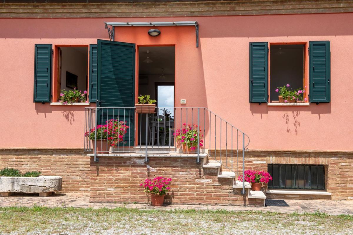 Agriturismo Mocine Asciano Exterior photo